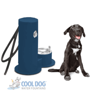 Dog Water Fountains - Drink Wash Cool