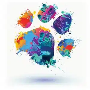 color-play-paw