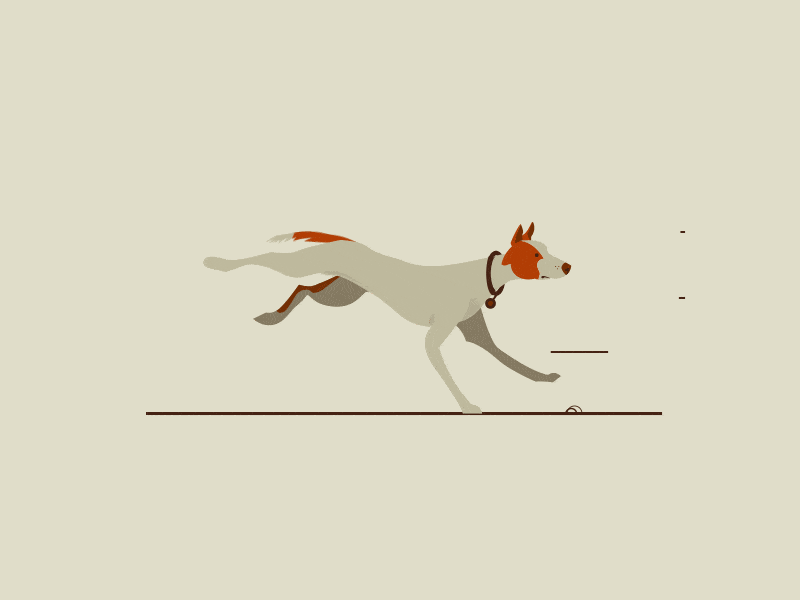 dog park fitness running dogs