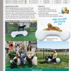 2026 GymsForDogs Spec AgilityBone CRT