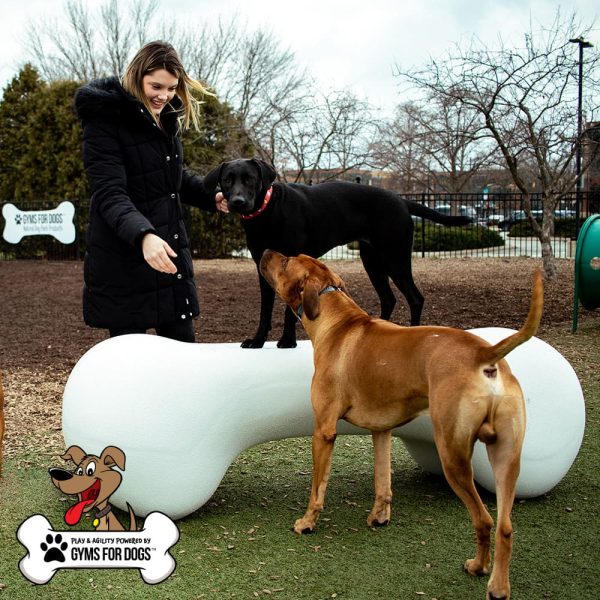 Dog Playground Equipment Agility Bone LG 06