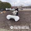 Dog Playground Equipment Agility Bone SM 03