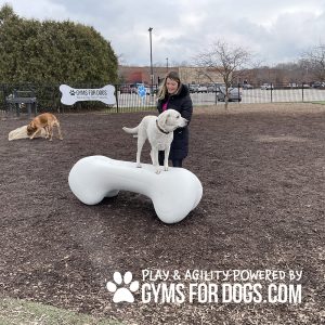 Dog Playground Equipment Agility Bone SM 03