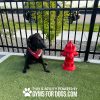 FireHydrant PortableMount Bottom Fill
