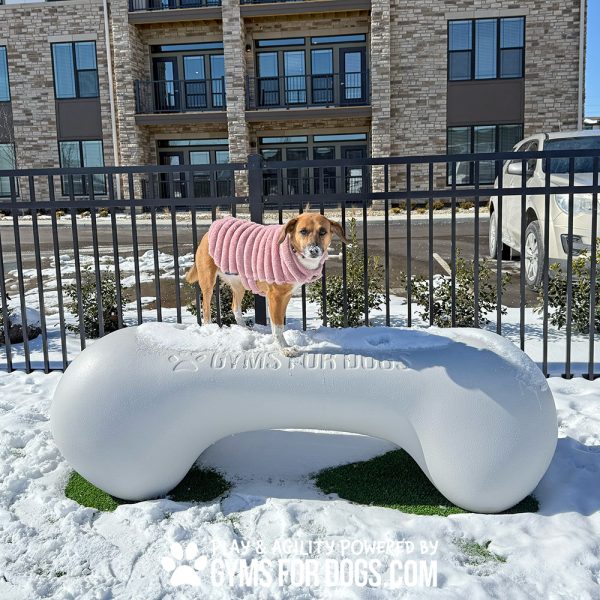 NEW AgilityBone CFBR Large - The Pet Waste Station NEW AgilityBone CFBR Large