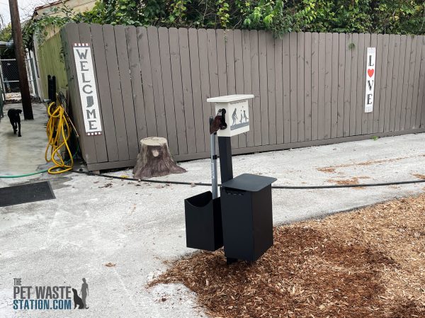 PWS IG PS 2 scaled 2.jpg