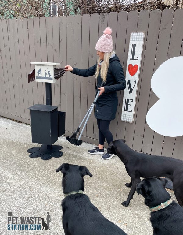 PWS Paw PS 5 scaled 2.jpg