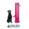 PushButton Pink