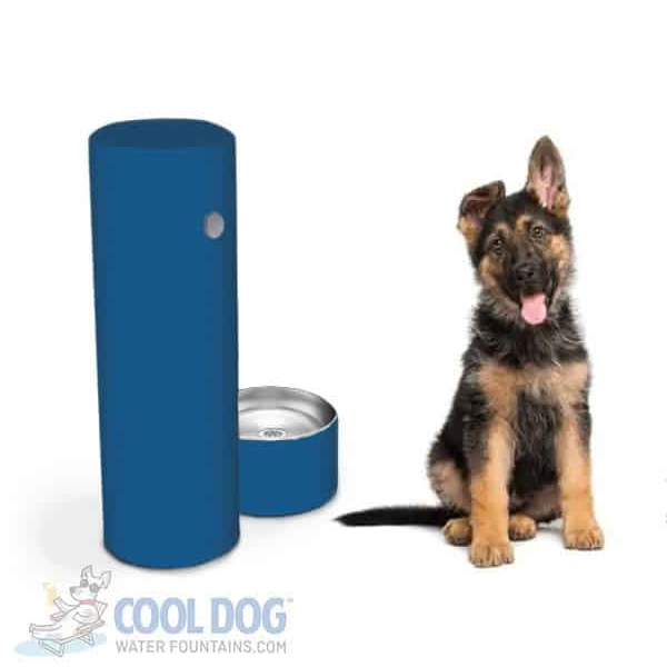 dogwaterfountain blue 1