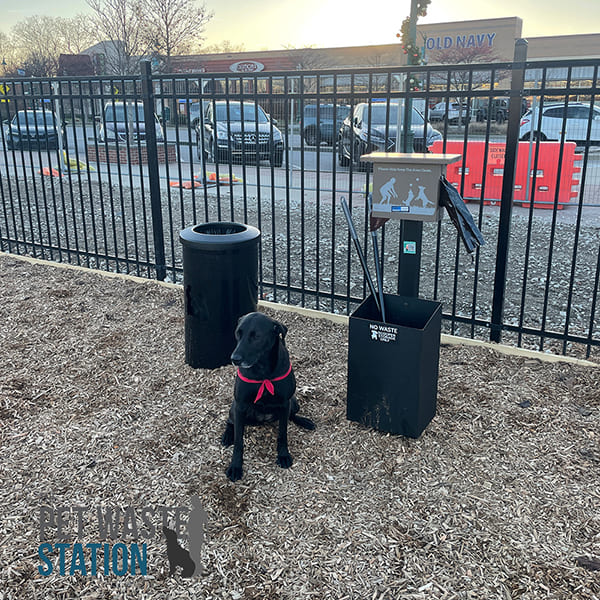 pet waste station in ground 2