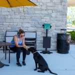surface mount pet waste station