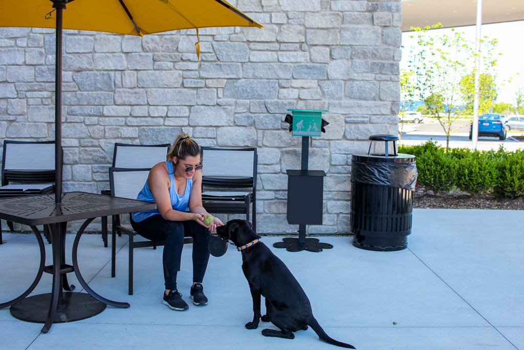 surface mount pet waste station