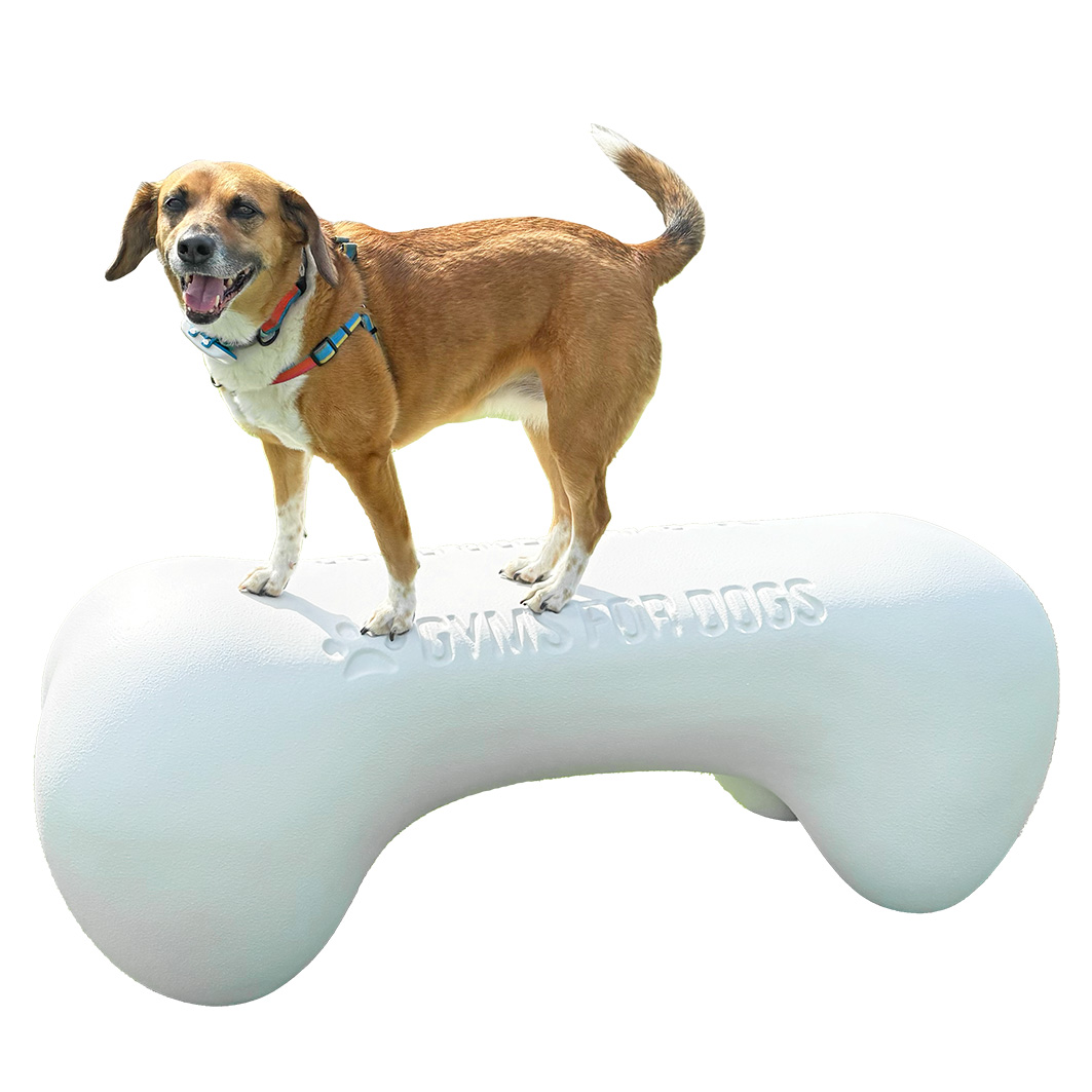 AgilityBoneFBRSmall Cutout RIZZBUTT