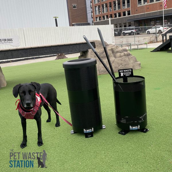 Maggie Caddies - The Pet Waste Station Maggie Caddies